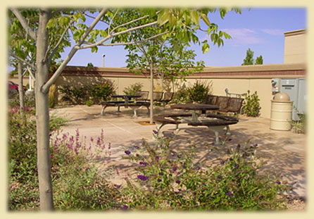 Storage Facility Garden